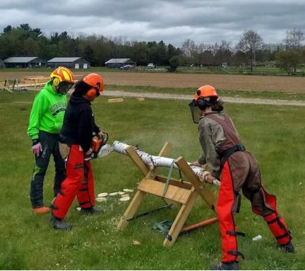 Chainsaw Basics for Women/Female Bodied/Nonbinary/Trans Folx with Tish Carr & Tracey Testo-Smith